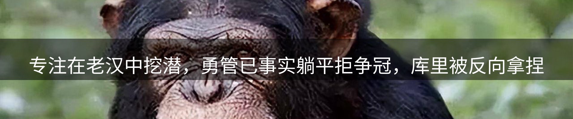 品牌资讯