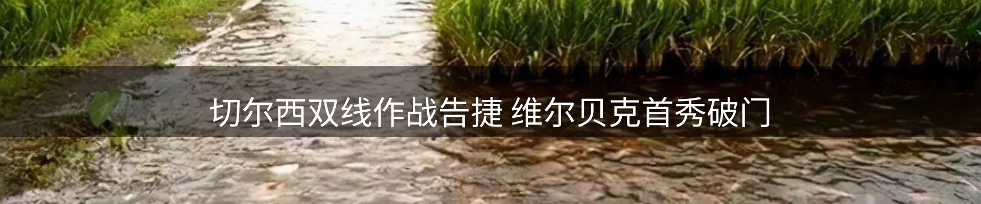 焦点评述