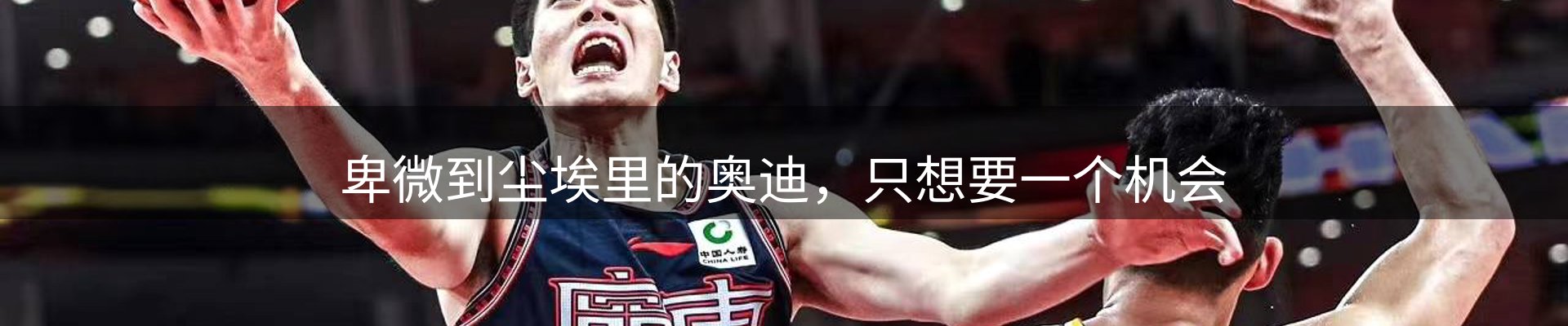 焦点评述