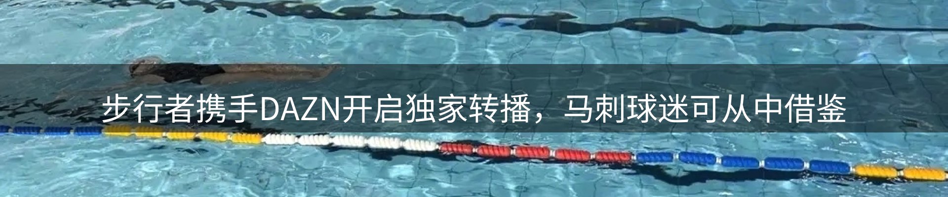 焦点评述