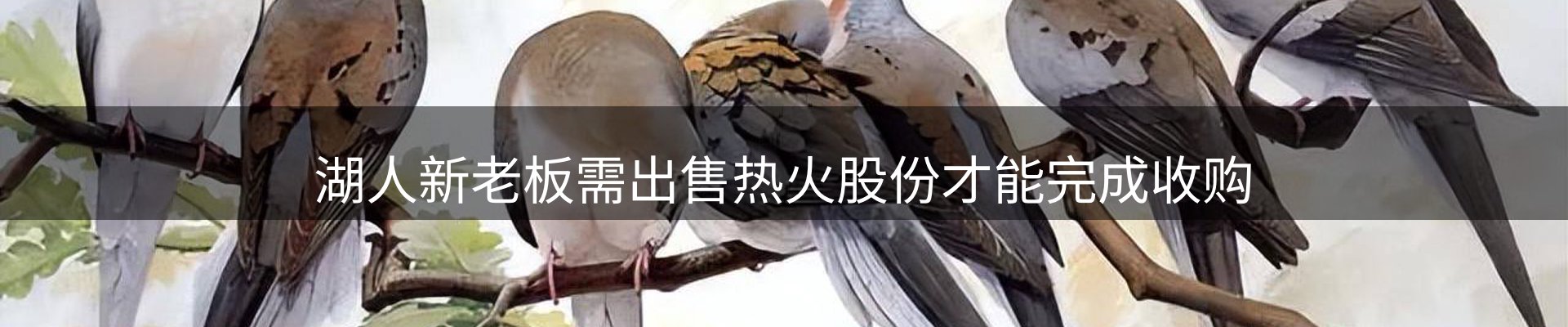 品牌资讯