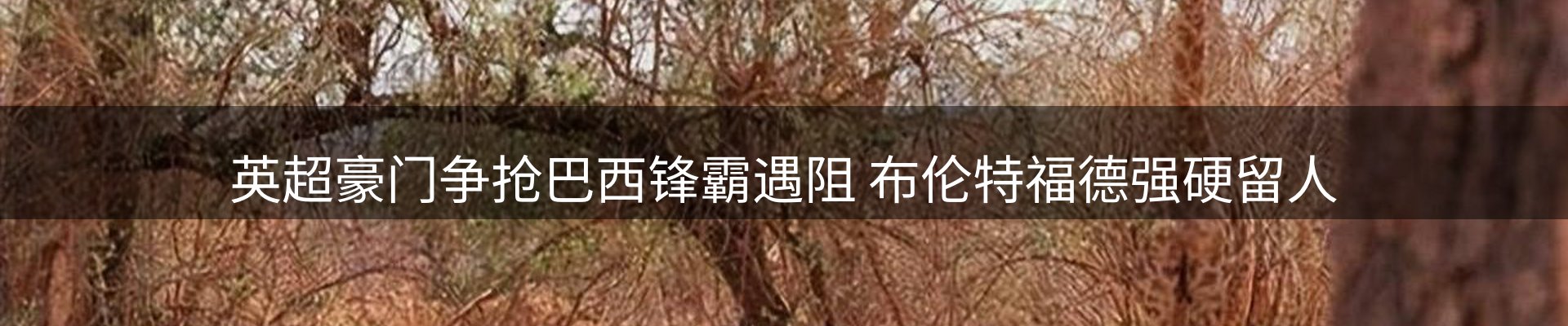 品牌资讯