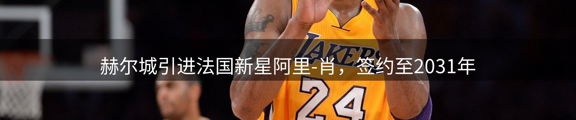 焦点评述