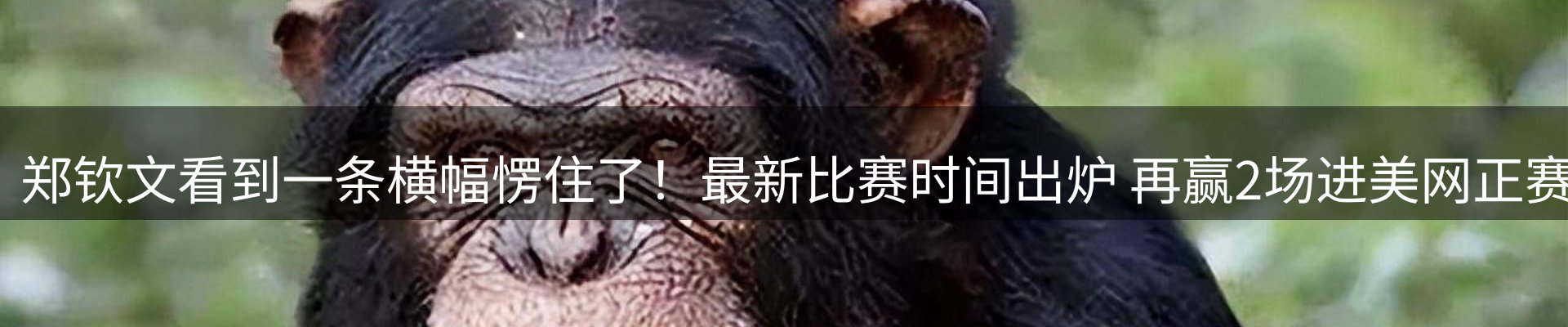 焦点评述